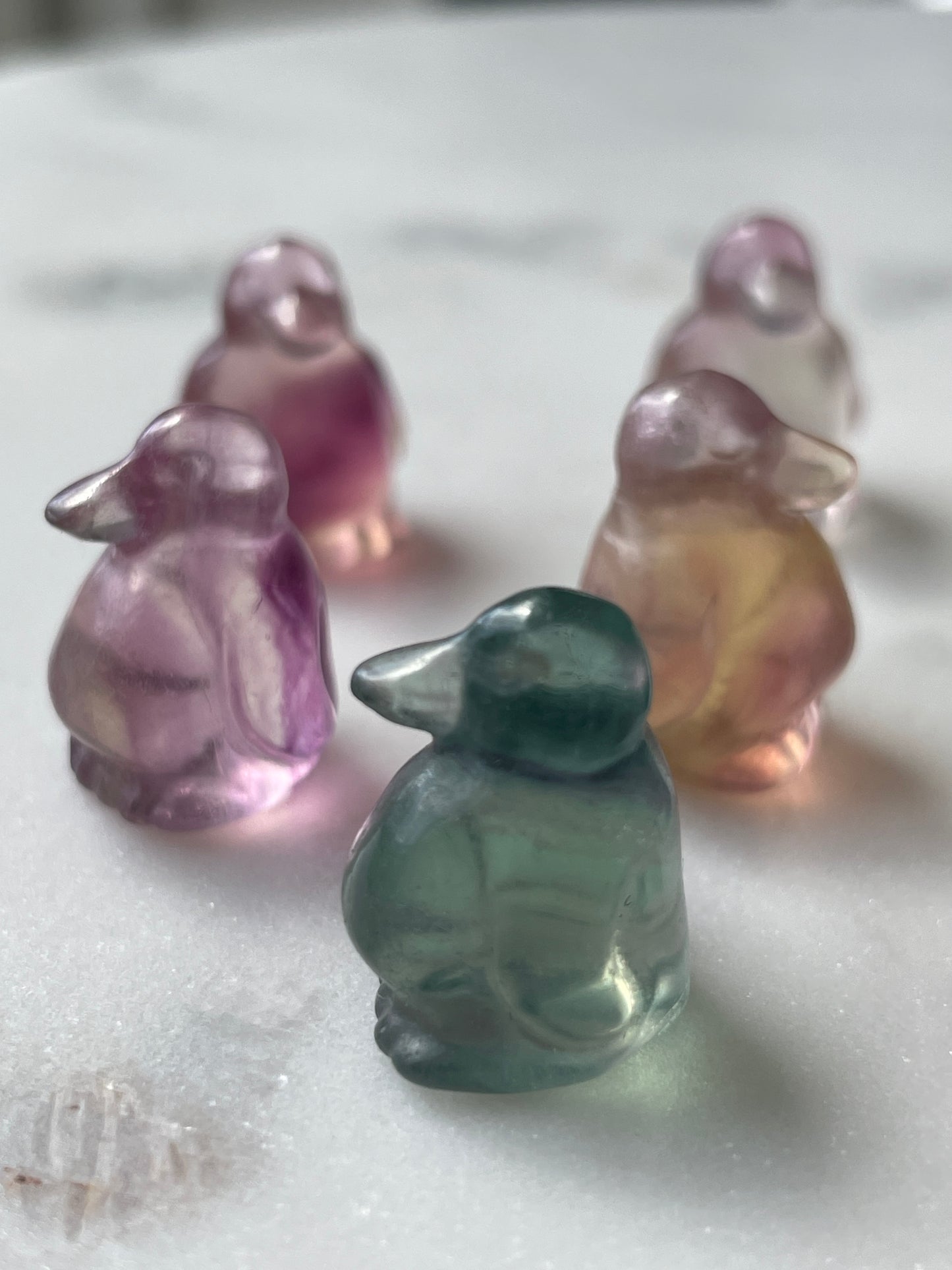 One (1) Mini Fluorite Crystal Carving | Penguin | Intuitively Chosen