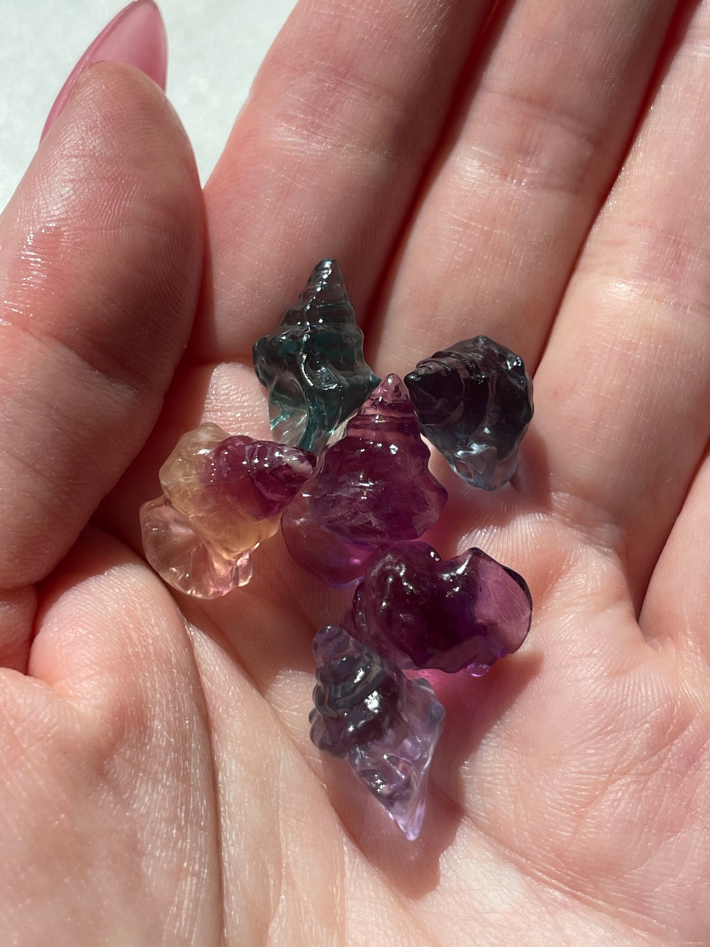 One (1) Mini Fluorite Crystal Carving | Seashell | Intuitively Chosen