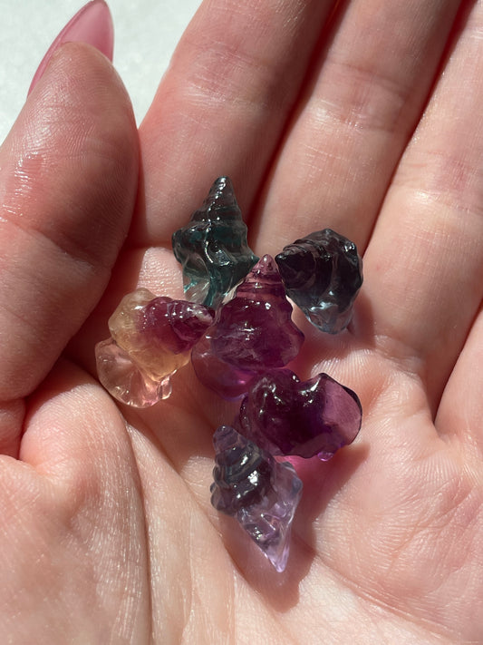 One (1) Mini Fluorite Crystal Carving | Seashell | Intuitively Chosen