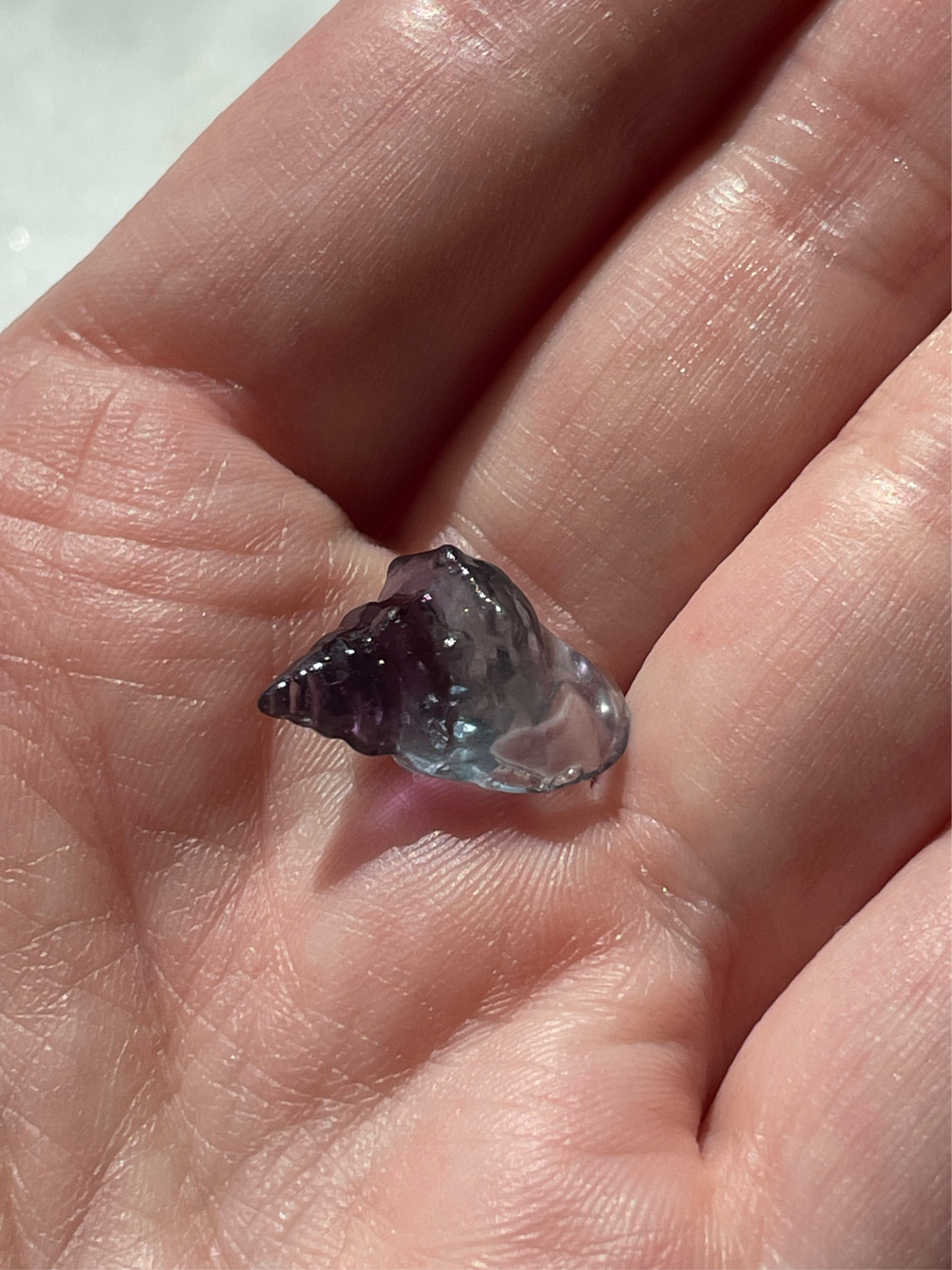 One (1) Mini Fluorite Crystal Carving | Seashell | Intuitively Chosen