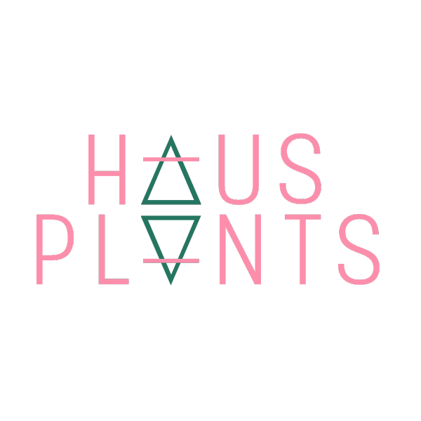Haus Plants