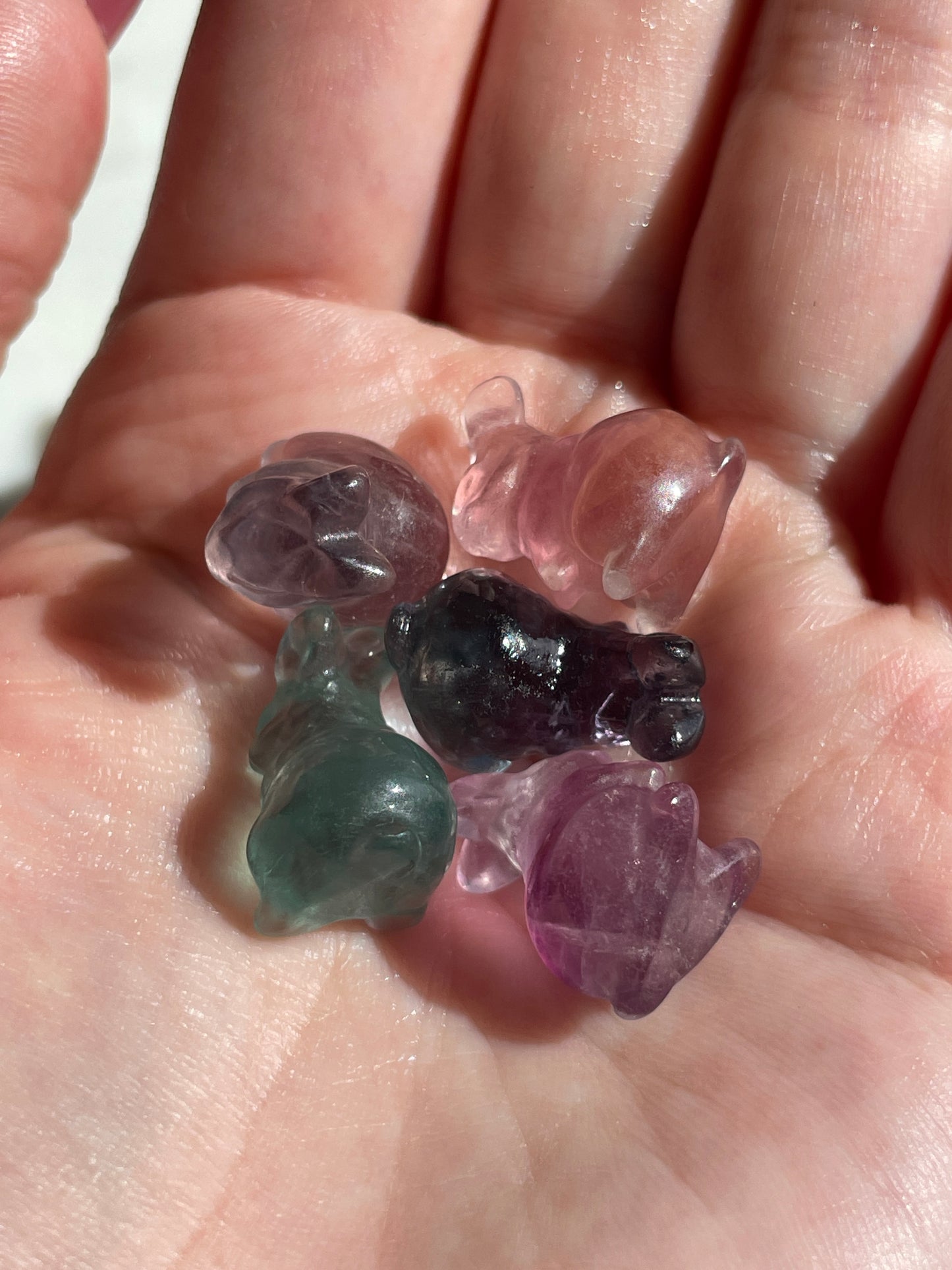 One (1) Mini Fluorite Crystal Carving | Rabbit | Intuitively Chosen