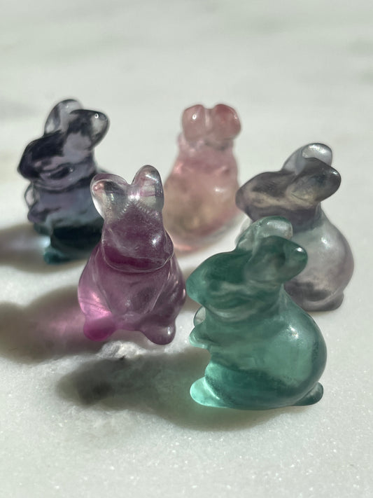 One (1) Mini Fluorite Crystal Carving | Rabbit | Intuitively Chosen
