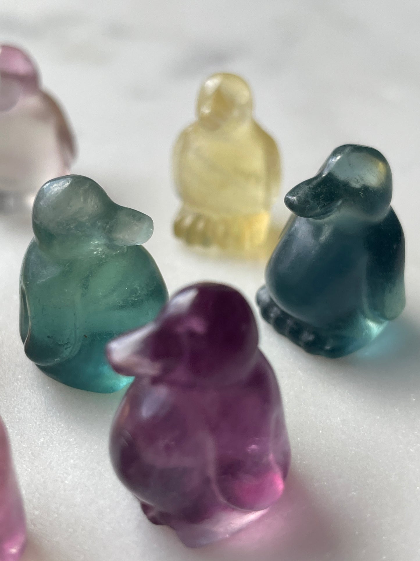 One (1) Mini Fluorite Crystal Carving | Penguin | Intuitively Chosen