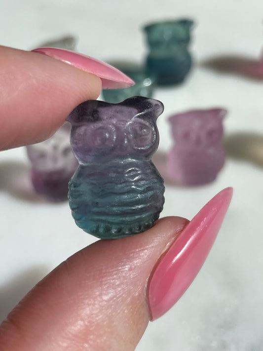 One (1) Mini Fluorite Crystal Carving | Owl | Intuitively Chosen