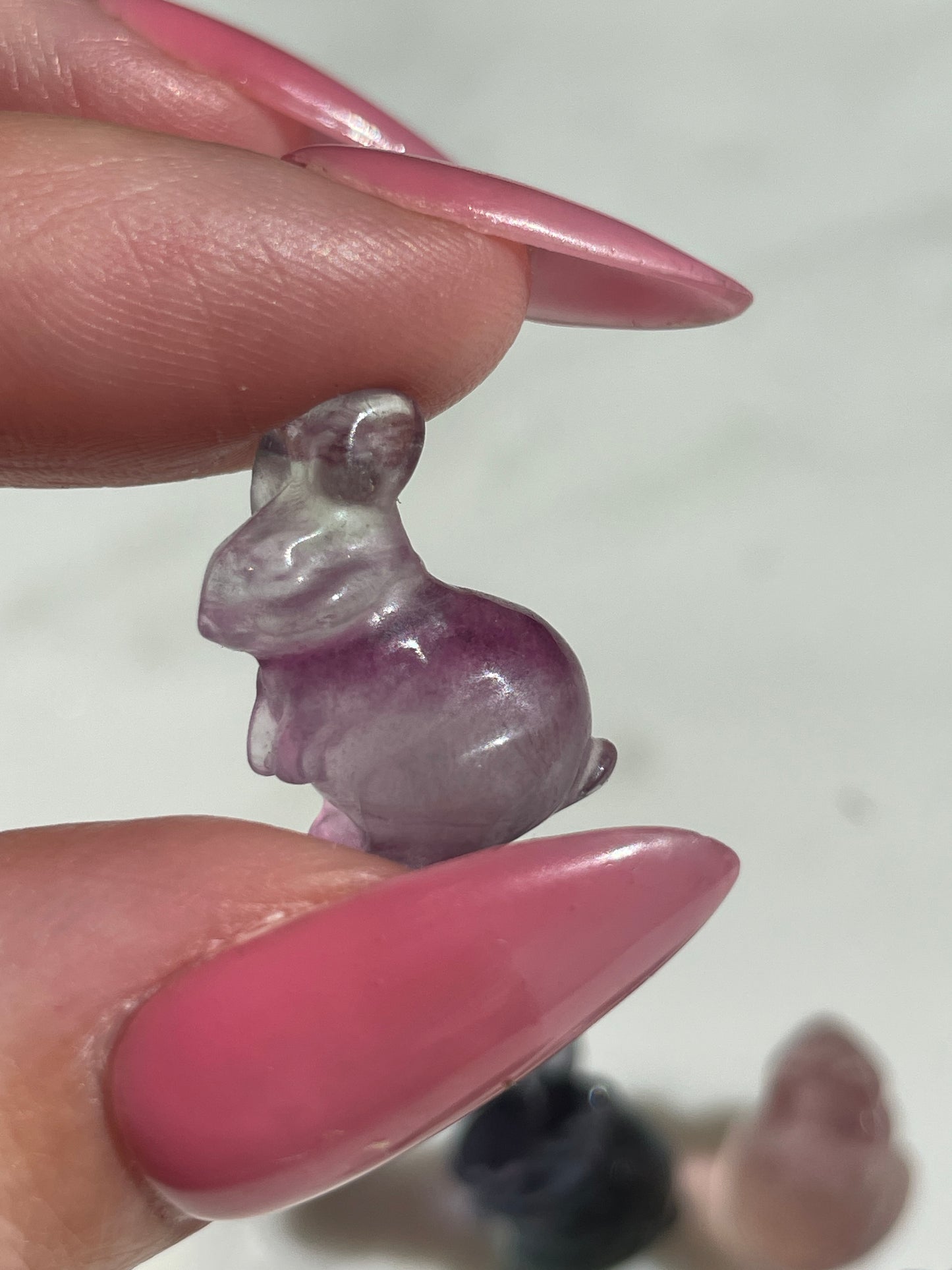 One (1) Mini Fluorite Crystal Carving | Rabbit | Intuitively Chosen