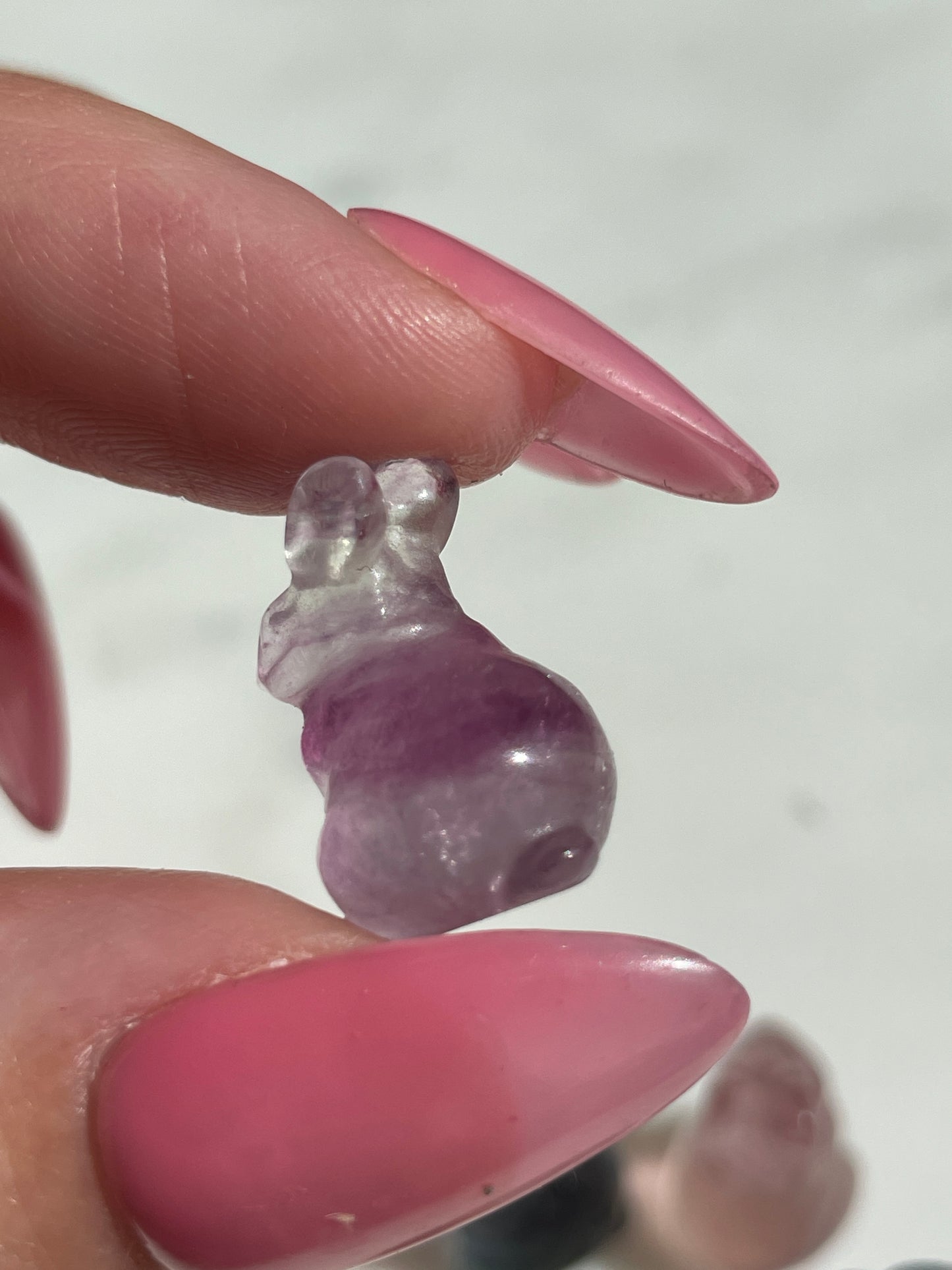 One (1) Mini Fluorite Crystal Carving | Rabbit | Intuitively Chosen
