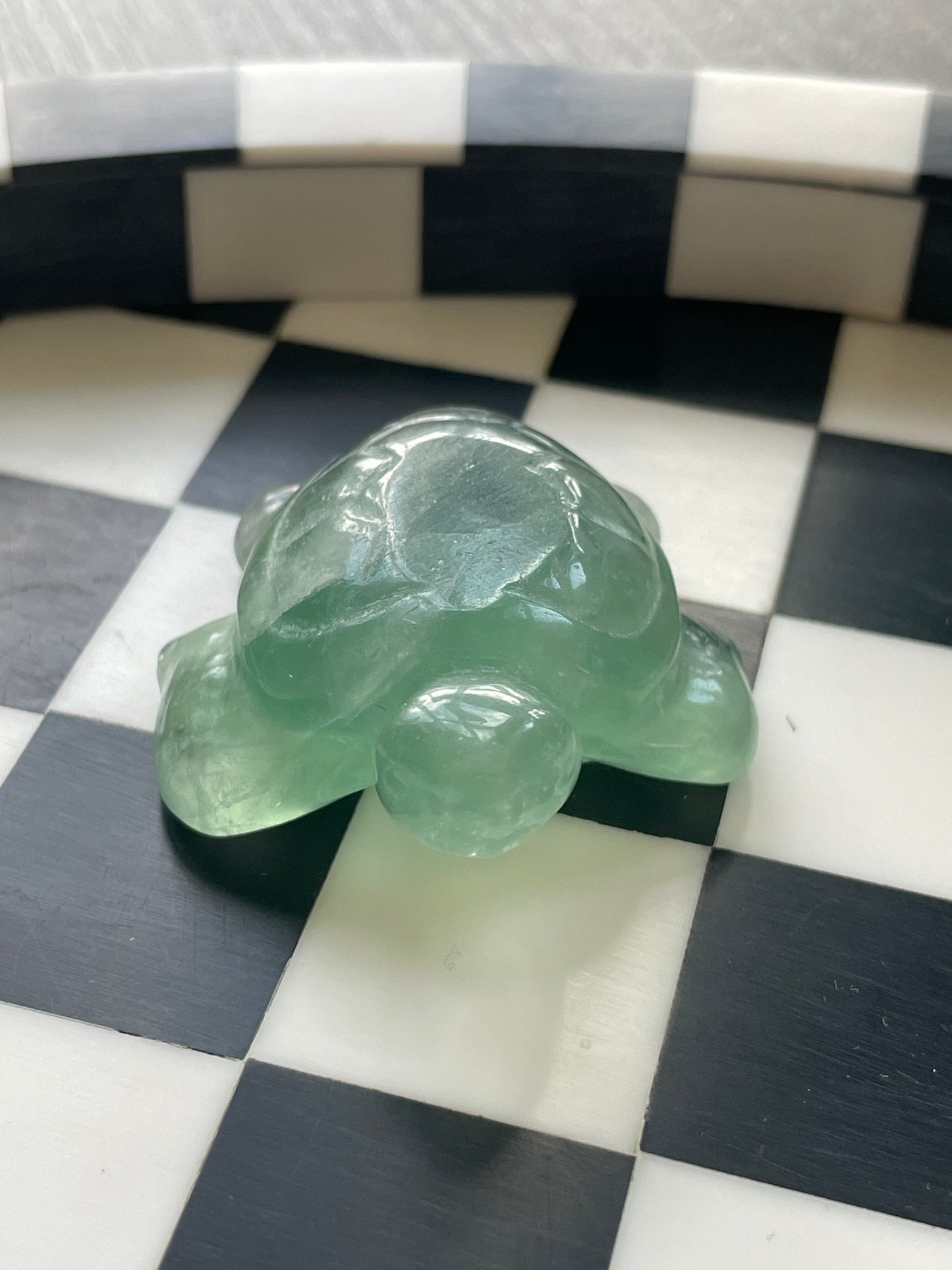 Green Fluorite Sea Turtle | Crystal Carving