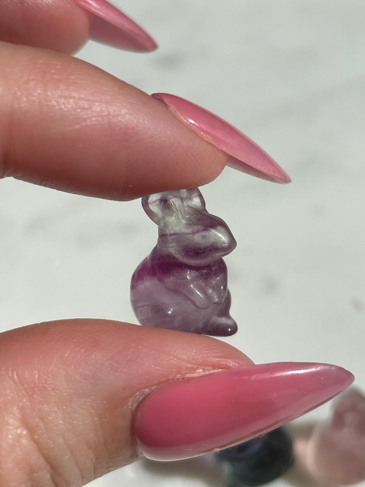 One (1) Mini Fluorite Crystal Carving | Rabbit | Intuitively Chosen