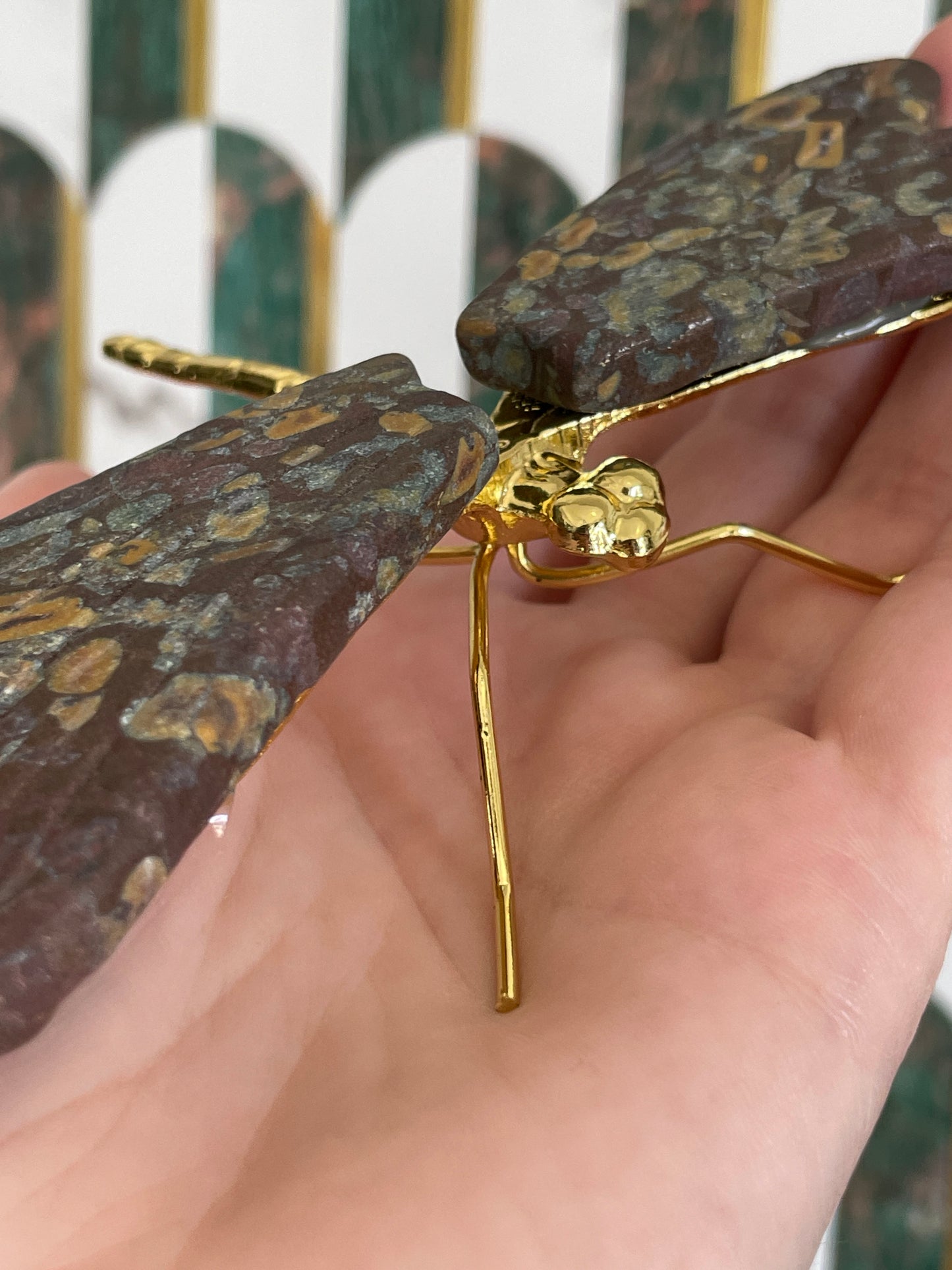 Rainforest Jasper Dragonfly
Wings Crystal Carving Spirit Guide Natural Stone Art Wings Beautiful Mineral Specimen Spiritual Transformation Symbol Sacred Space Enhancement Meditation Focus Object Crystal Collection Showcase