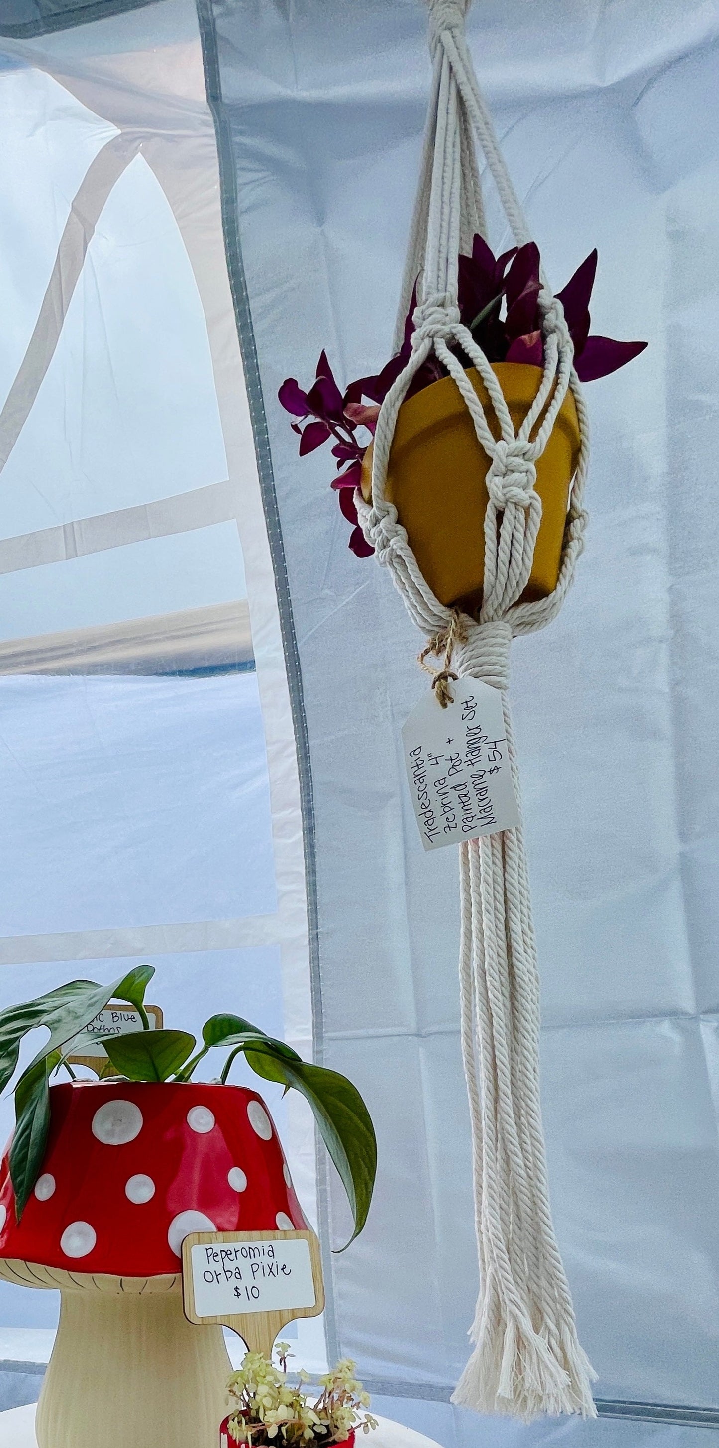 Macrame Hanger | Single