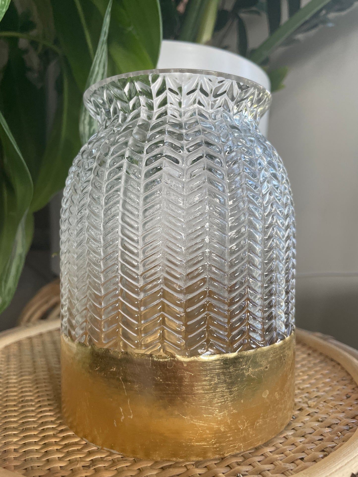 Glass Herringbone Vase Propagation Vessel with Gold Base