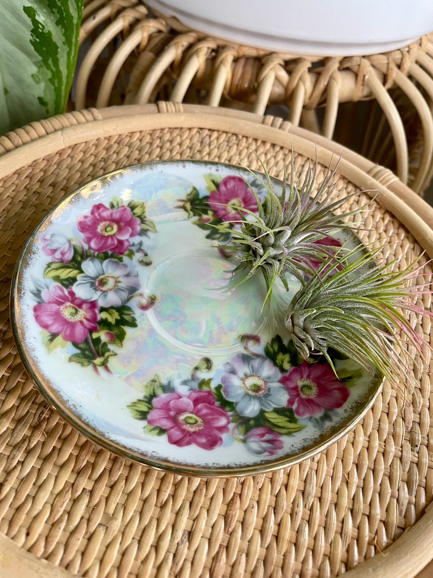 Vintage Style Floral Pearlescent Teacup Saucer