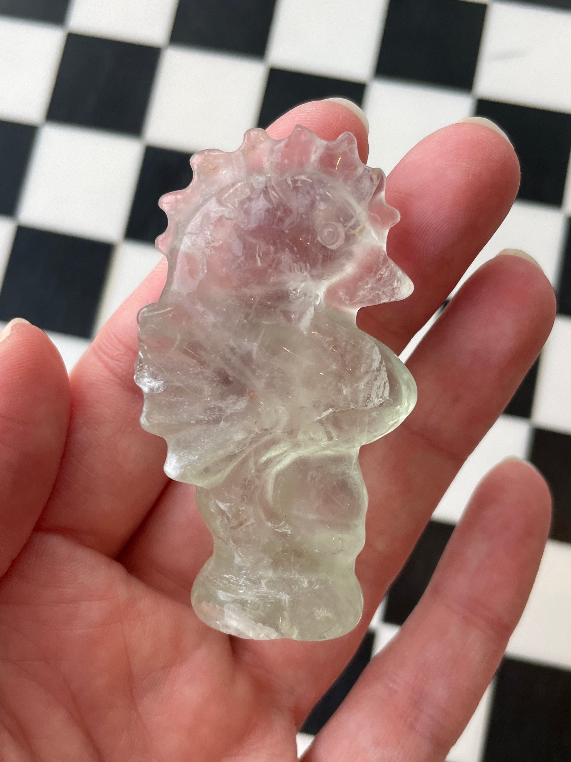 green fluorite seahorse crystal carving fluorite sea horse gift for ocean lover sea creature gift ocean aesthetic crystal polished fluorite carving