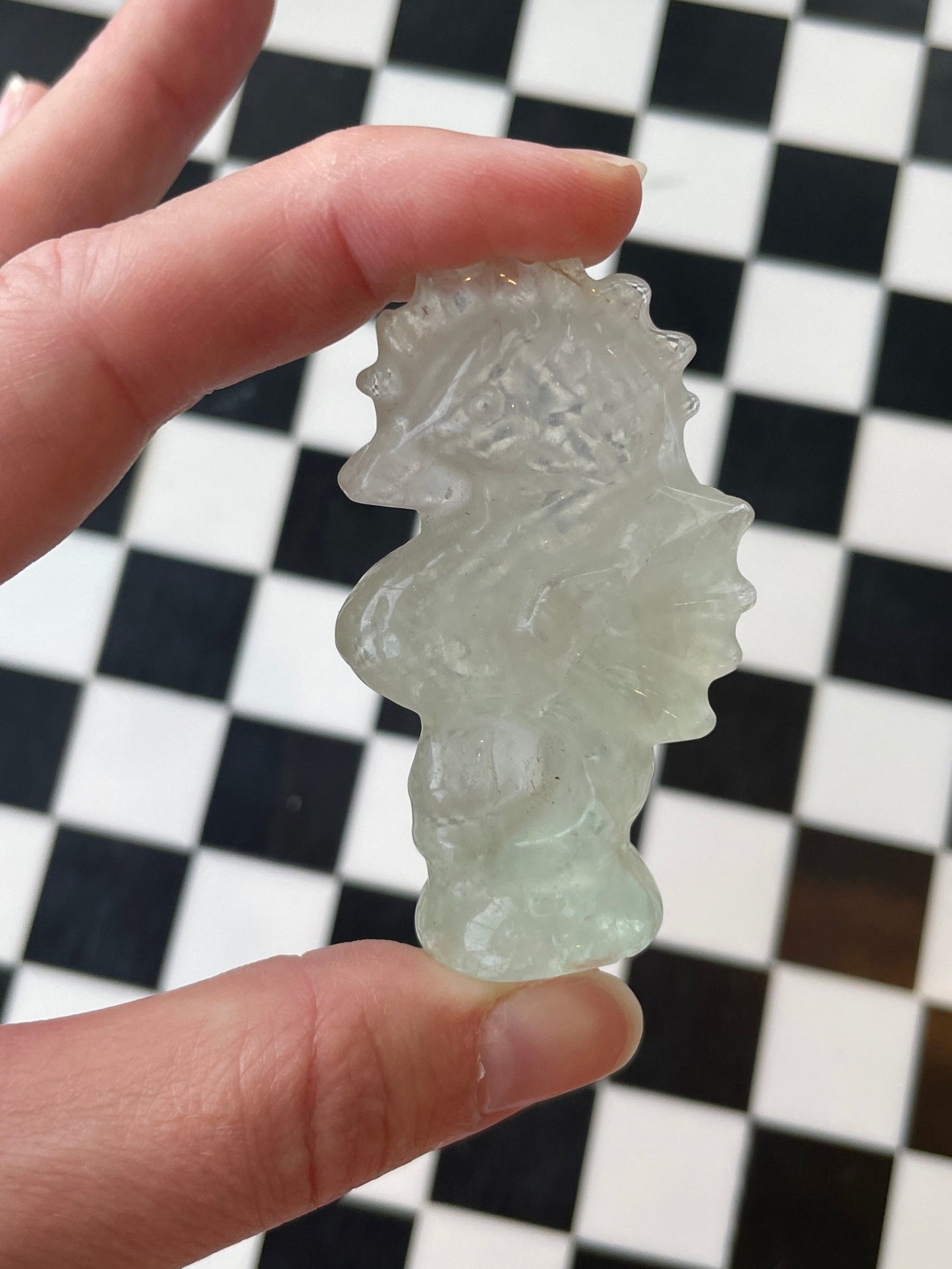 green fluorite seahorse crystal carving fluorite sea horse gift for ocean lover sea creature gift ocean aesthetic crystal polished fluorite carving