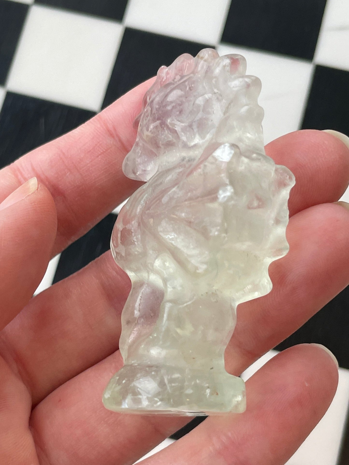 green fluorite seahorse crystal carving fluorite sea horse gift for ocean lover sea creature gift ocean aesthetic crystal polished fluorite carving