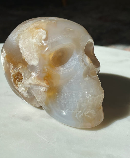 flower agate skull carving figurine spooky crystal carving gift for witch halloween lover magic altar piece skeleton druzy agate skull