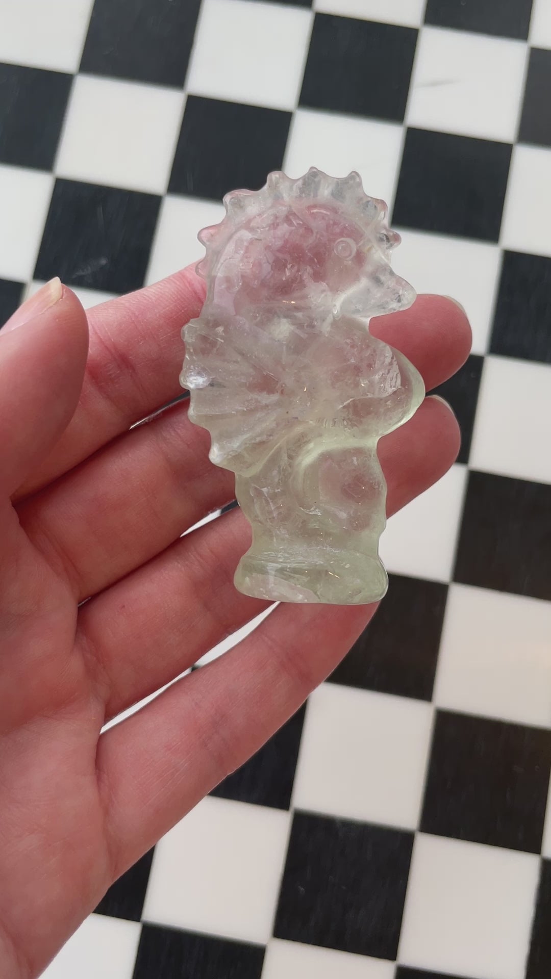 green fluorite seahorse crystal carving fluorite sea horse gift for ocean lover sea creature gift ocean aesthetic crystal polished fluorite carving
