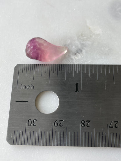 One (1) Mini Fluorite Crystal Carving | Bird’s Wing | Intuitively Chosen