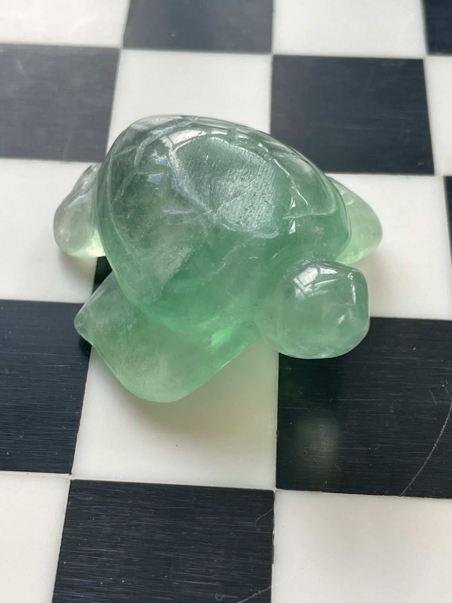Green Fluorite Sea Turtle | Crystal Carving