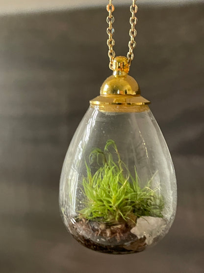 Living Moss + Rose Quartz Mini Terrarium Necklace on Adjustable Silver or Gold Chain