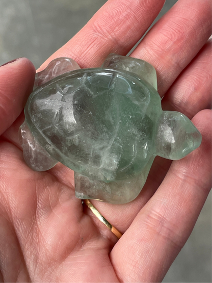 Green Fluorite Sea Turtle | Crystal Carving