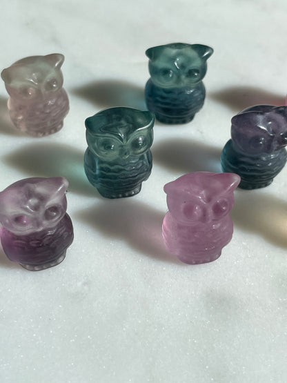 One (1) Mini Fluorite Crystal Carving | Owl | Intuitively Chosen