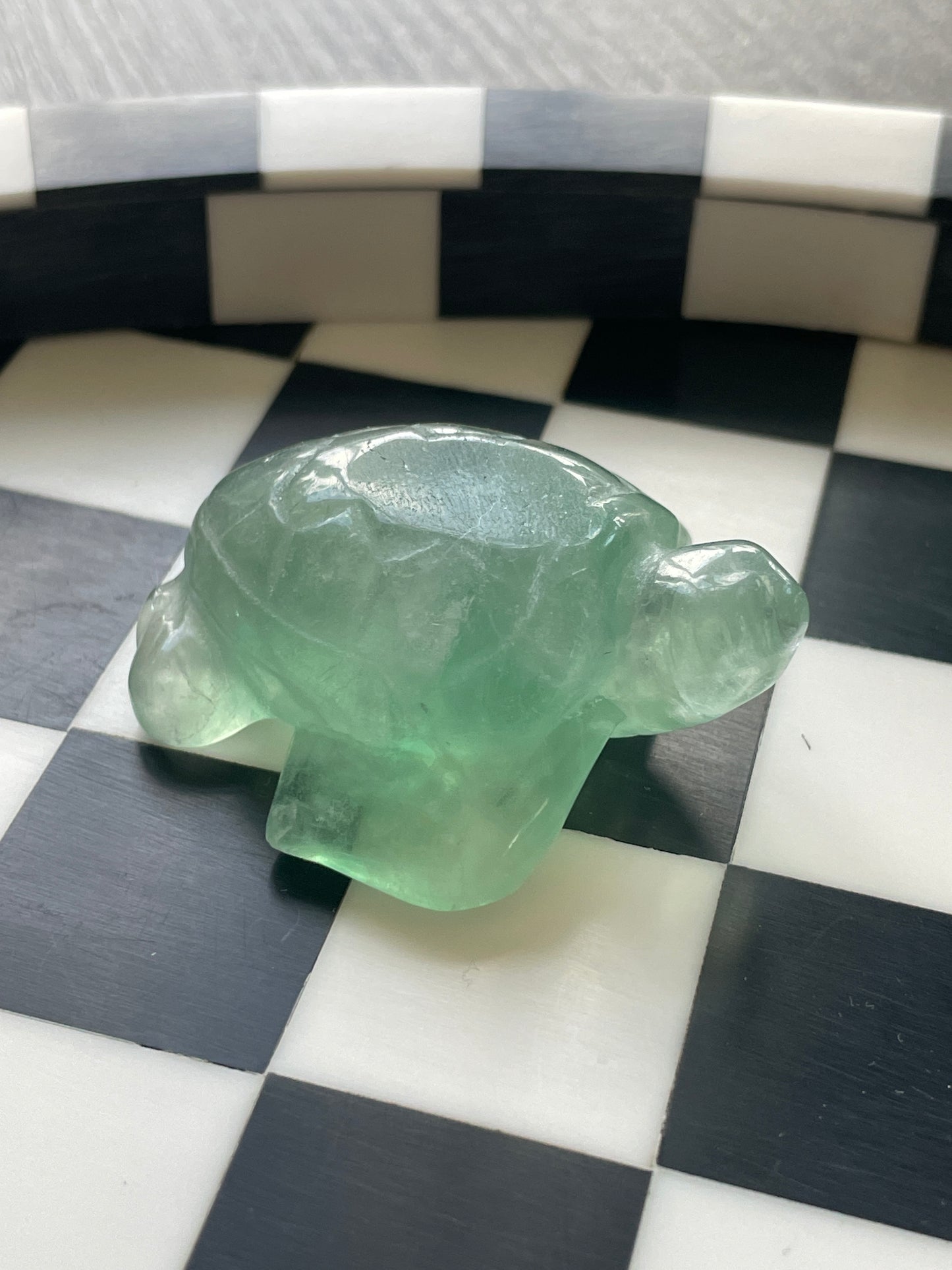 Green Fluorite Sea Turtle | Crystal Carving