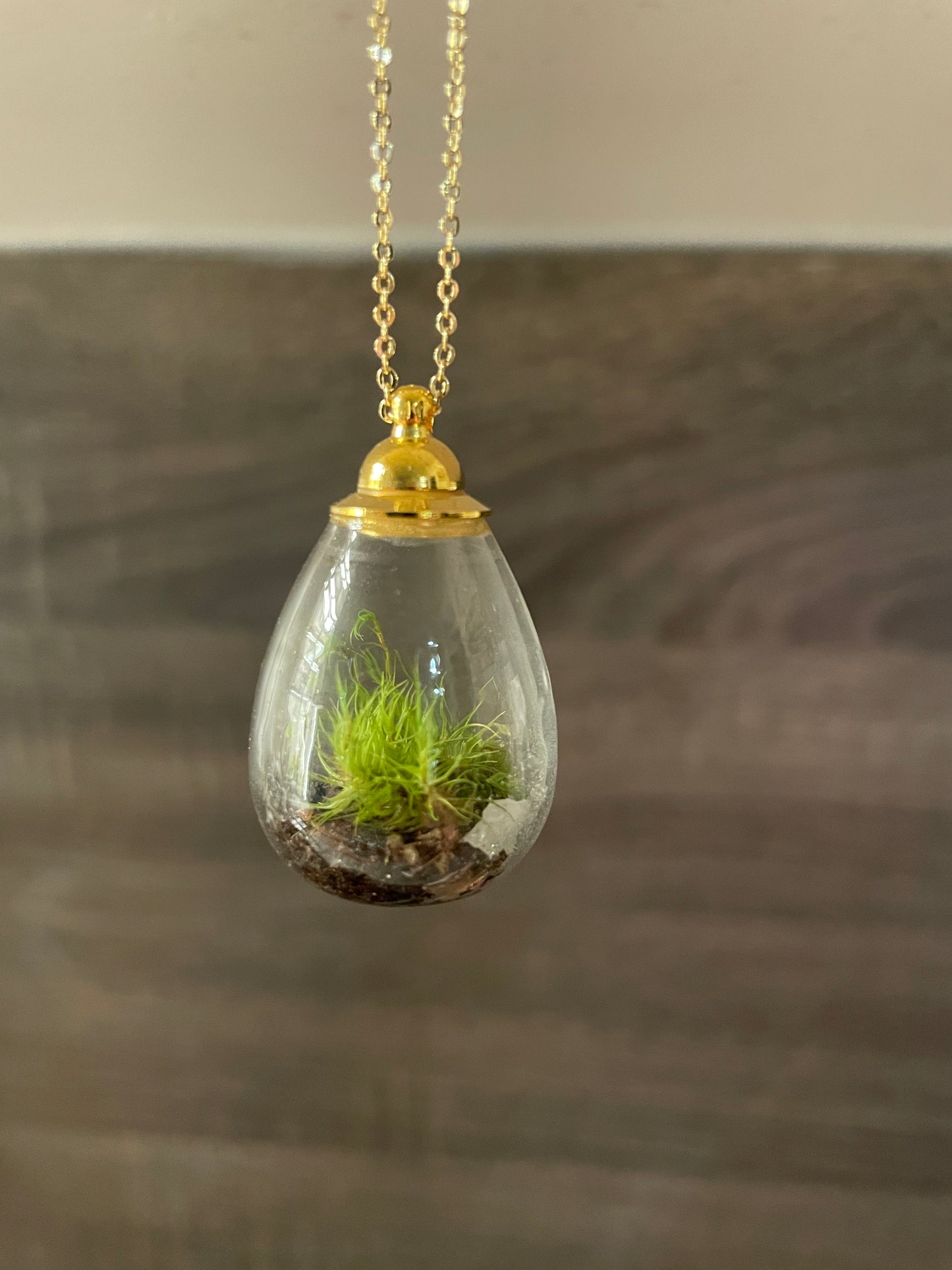 Living Moss + Rose Quartz Mini Terrarium Necklace on Adjustable Silver or Gold Chain