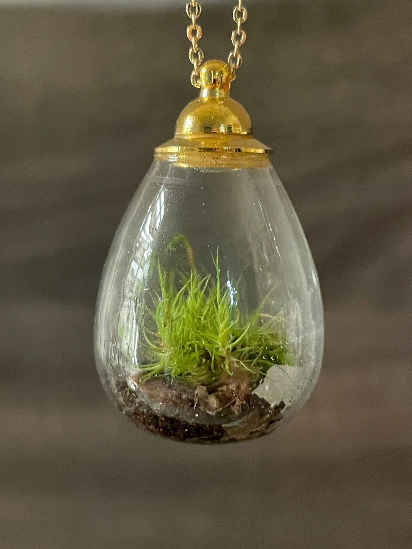 Living Moss + Rose Quartz Mini Terrarium Necklace on Adjustable Silver or Gold Chain