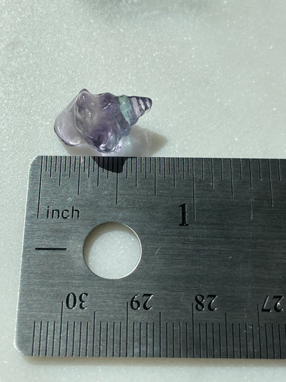 One (1) Mini Fluorite Crystal Carving | Seashell | Intuitively Chosen