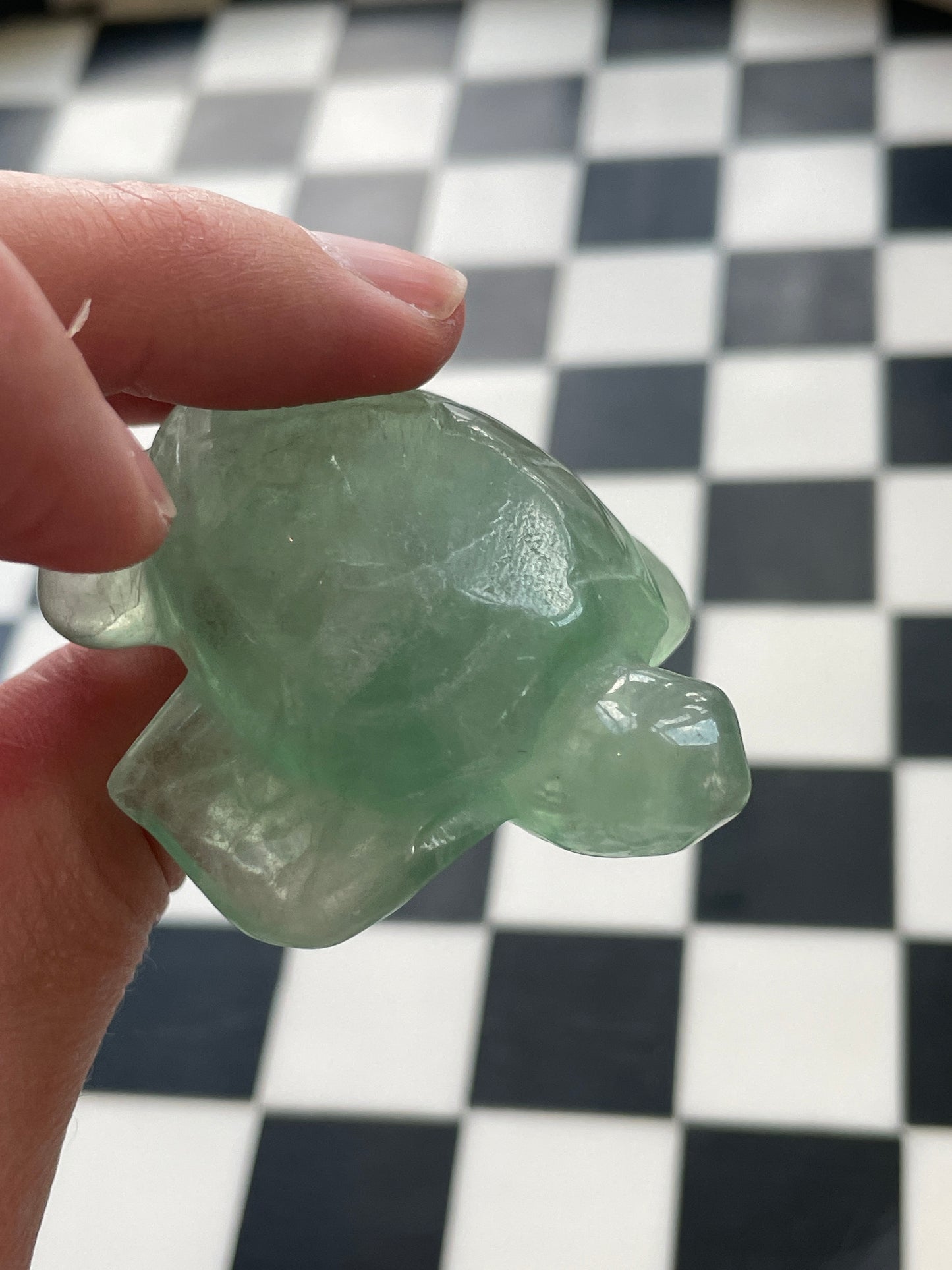 Green Fluorite Sea Turtle | Crystal Carving