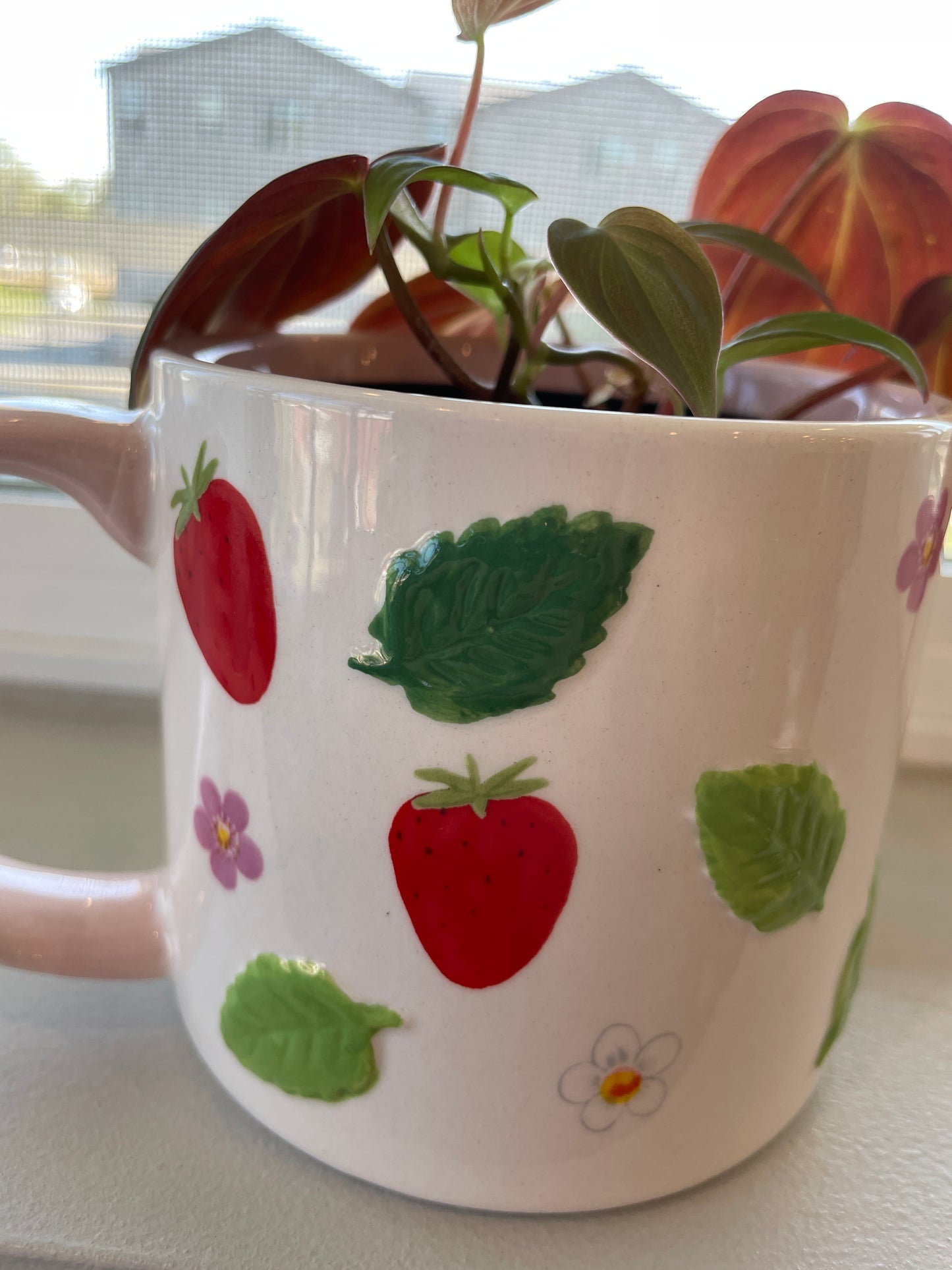 Philodendron Micans in 4” Strawberry & Blooms Mug Planter