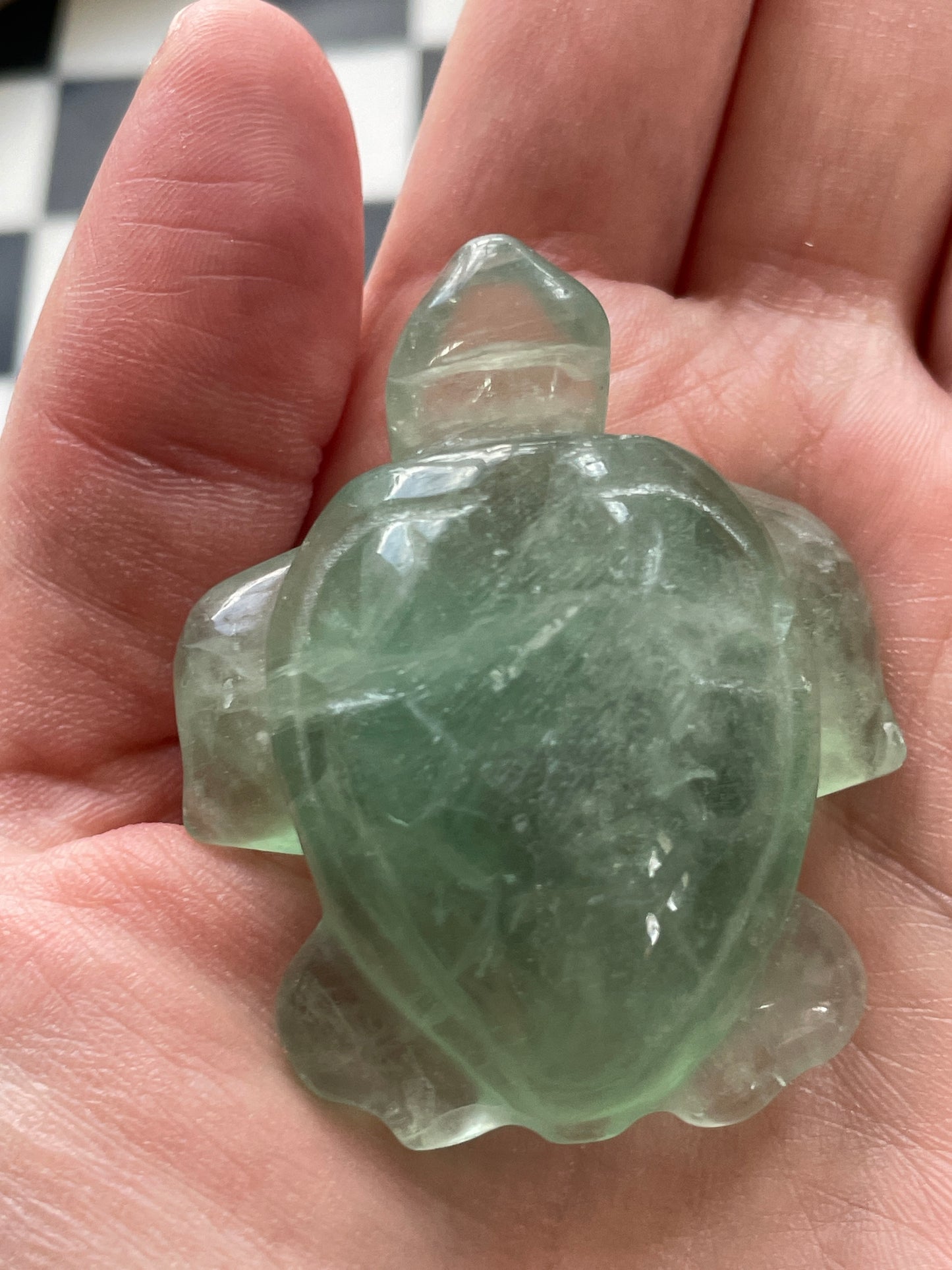 Green Fluorite Sea Turtle | Crystal Carving
