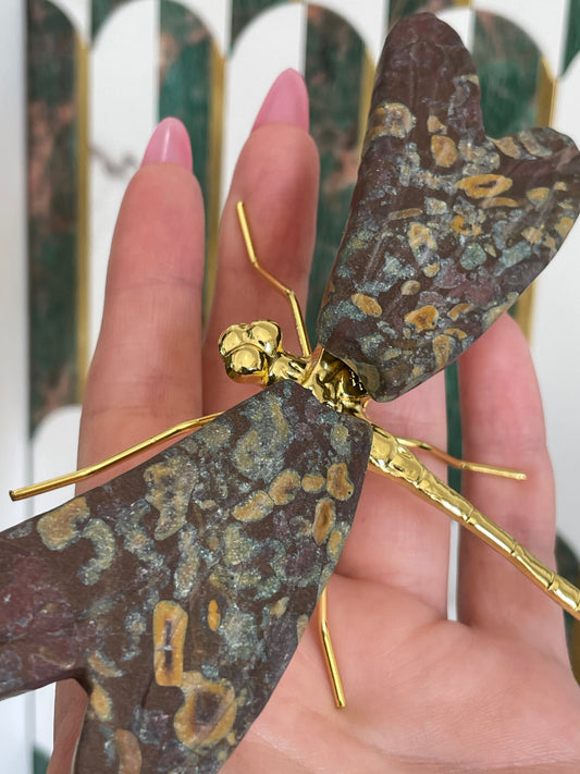 Rainforest Jasper Dragonfly Crystal Carving Natural Stone Display Piece Shimmery Multicolor Speckled Pattern Gold Details Metal Accented Design Spiritual Transformation Symbol Manifestation Focus Crystal Statement Collection Showcase Beautiful