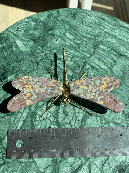 Rainforest Jasper Dragonfly Crystal Carving Natural Stone 5 inch Display Piece Shimmery Multicolor Speckled Wings Gold Metal Accented Design Spiritual Transformation Symbol Manifestation Focus Crystal Statement Collection Showcase Beautiful Wings