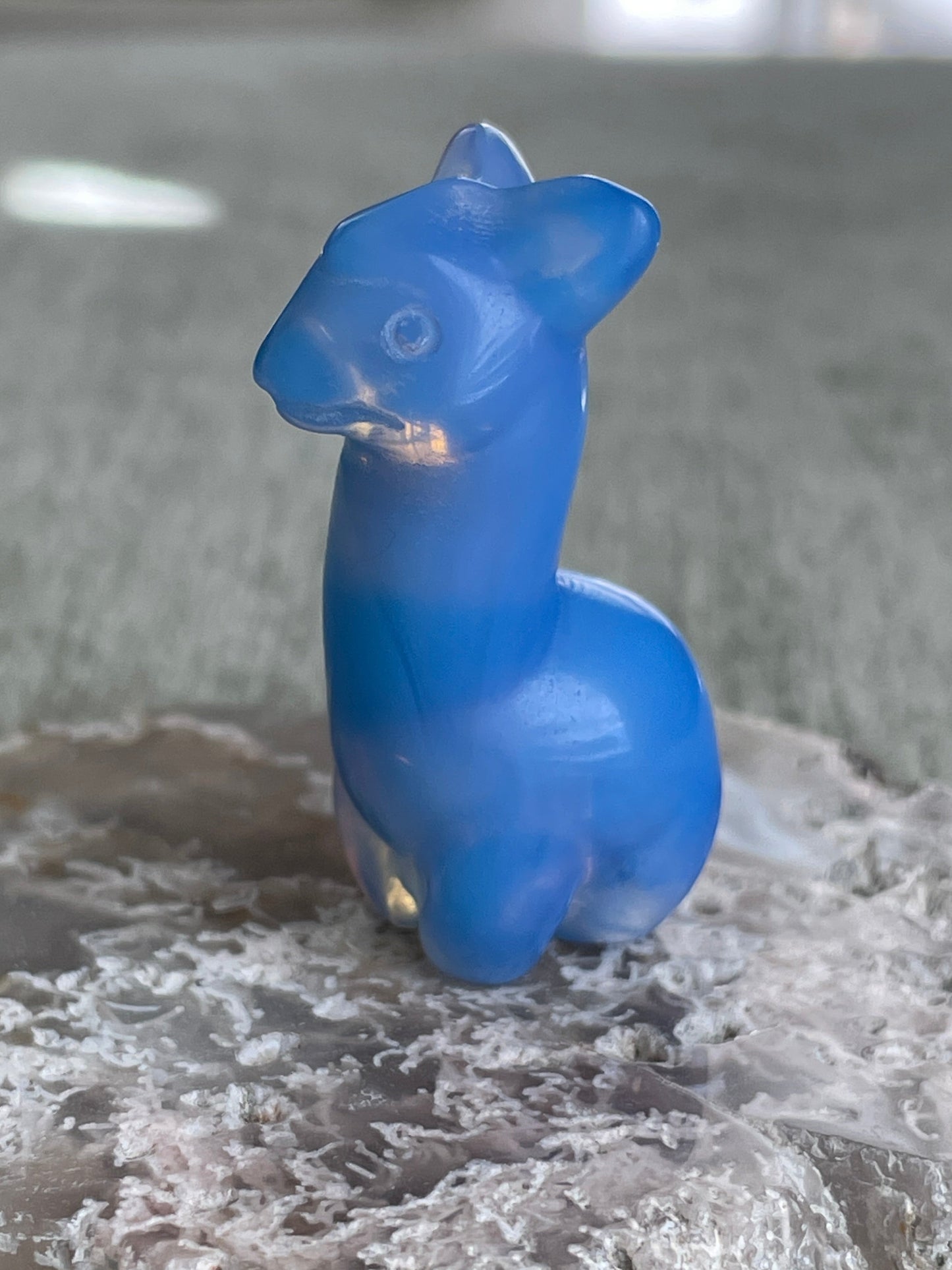 blue opalite llama carving, iridescent crystal animal figurine symbolizing confidence and calm strength