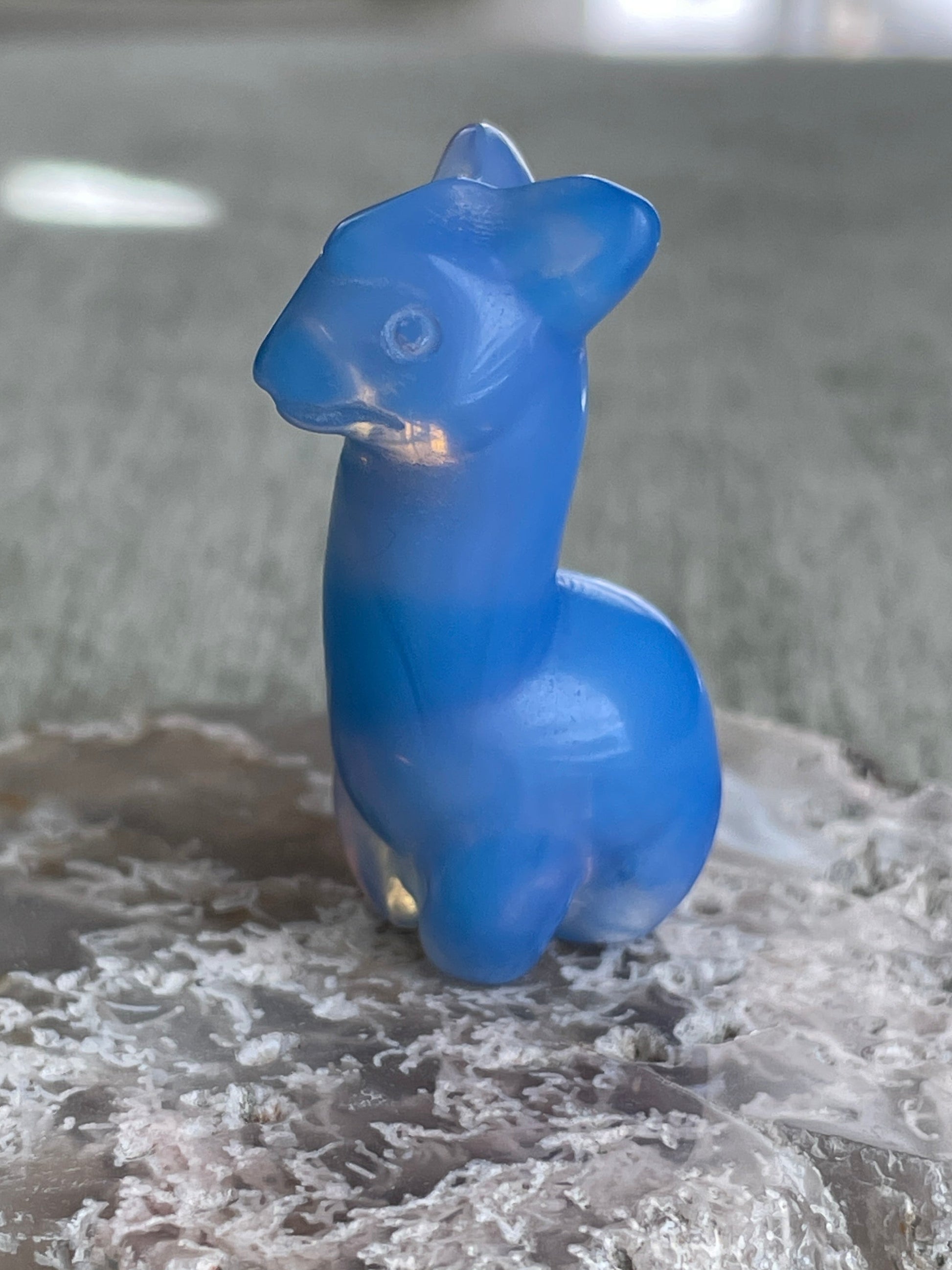 blue opalite llama carving, iridescent crystal animal figurine symbolizing confidence and calm strength