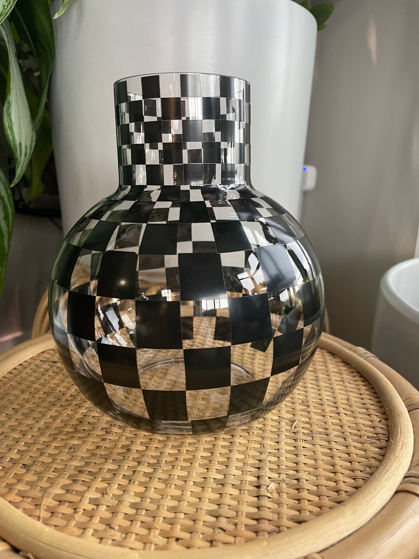 Glass Checkered Propagation Vessel