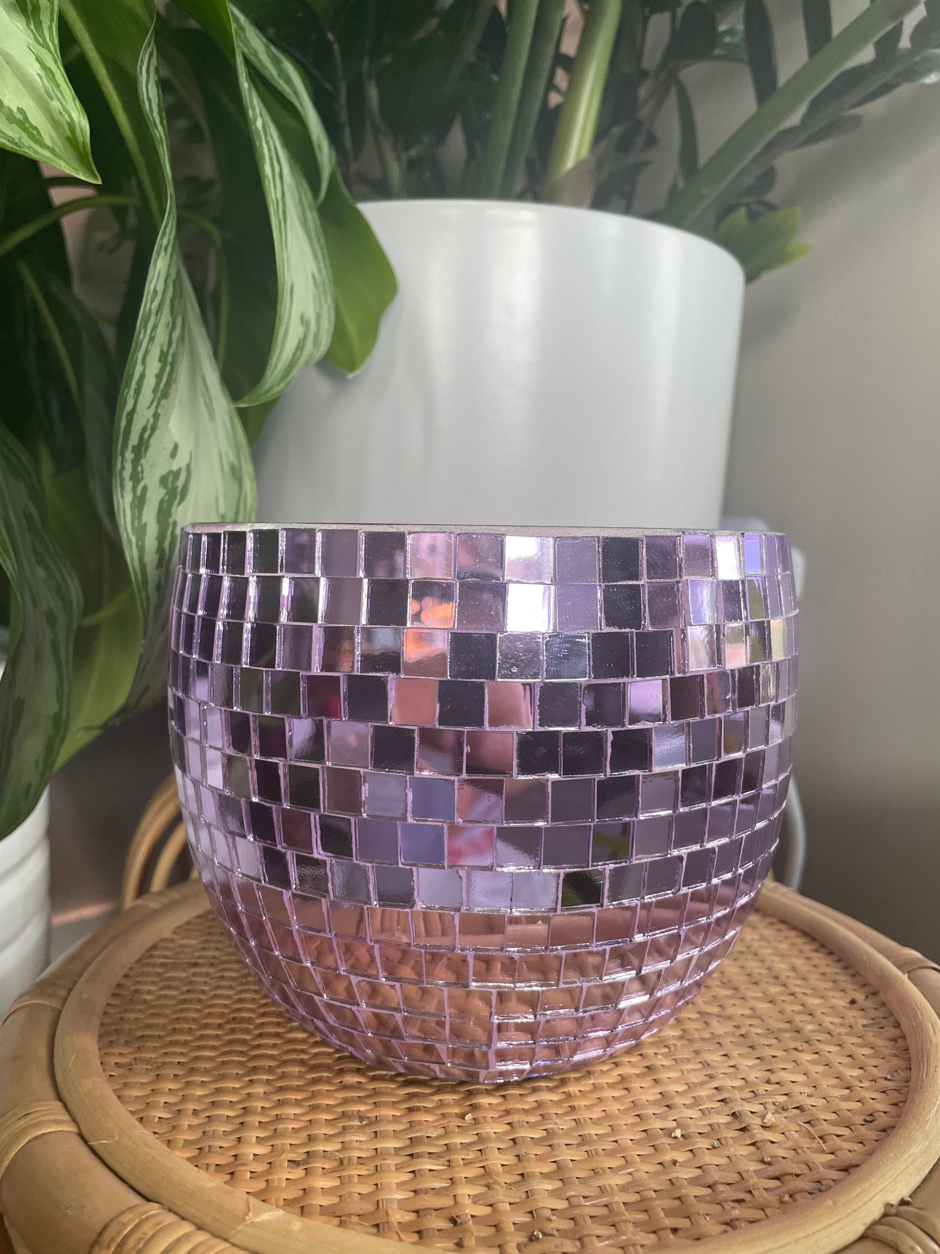 Disco Ball Planter - Purple 6"  Haus Plants