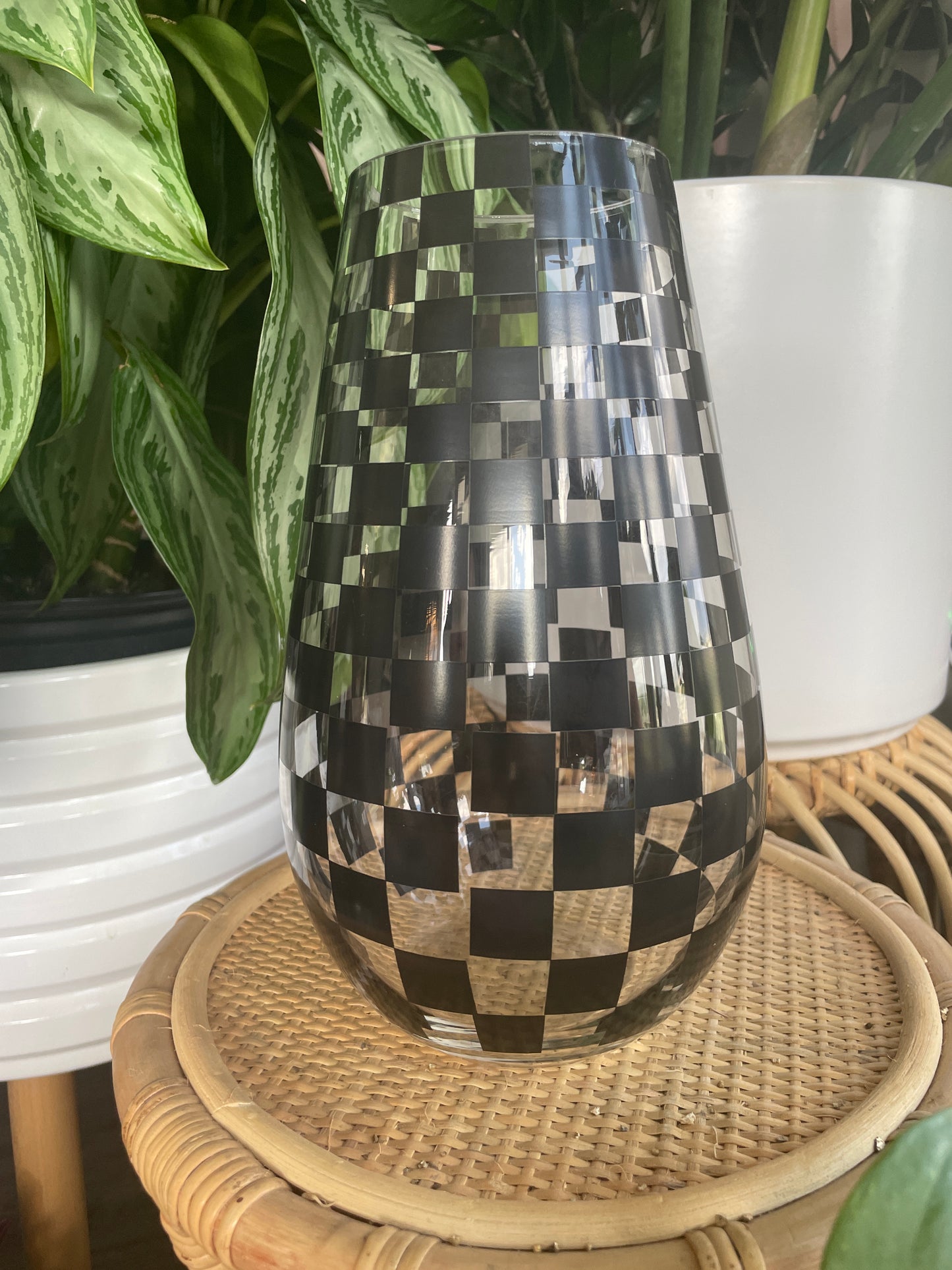 Glass Checkered Propagation Vessel