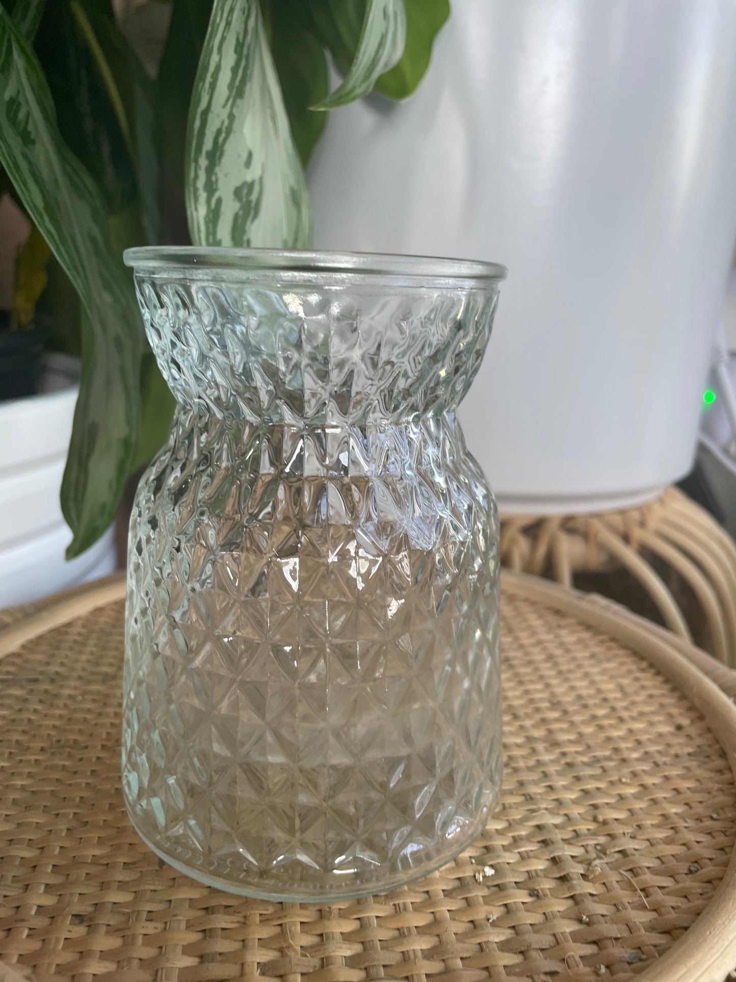 Glass Diamond Pattern Bud Vase Propagation Vessel