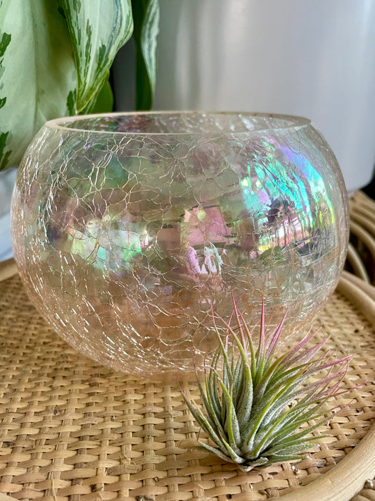 Pink Iridescent Crackle Glass Bubble Bowl
