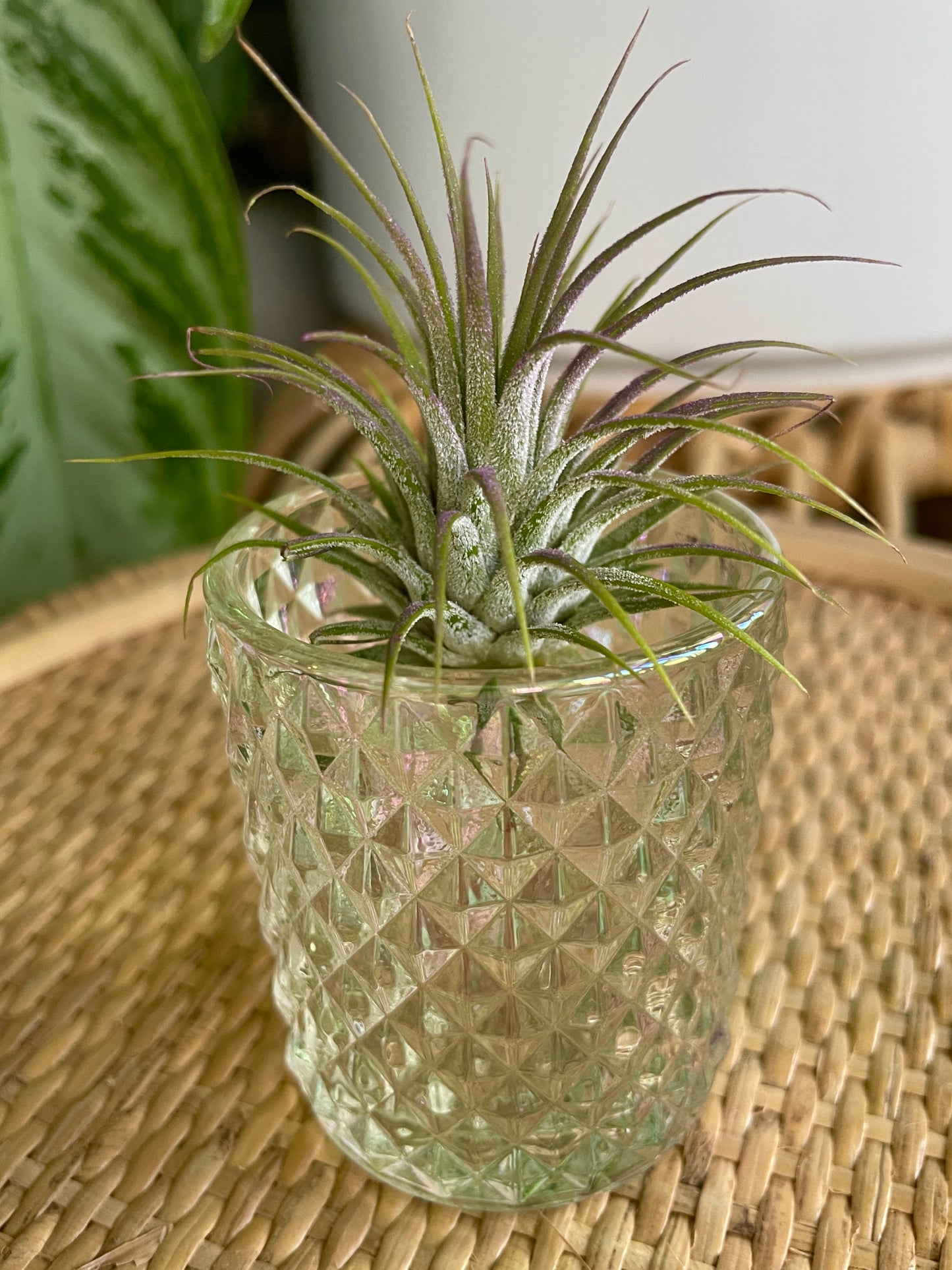 Rainbow Glass Vintage Style Mini Planter