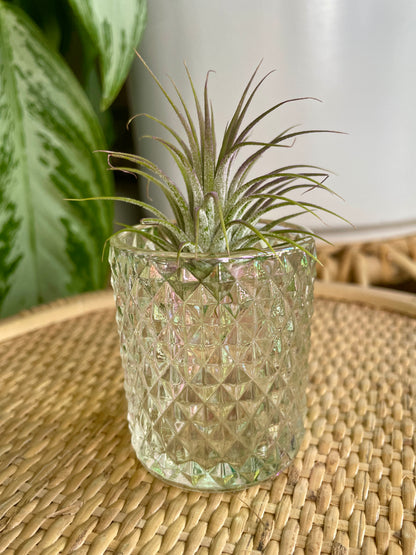 Rainbow Glass Vintage Style Mini Planter