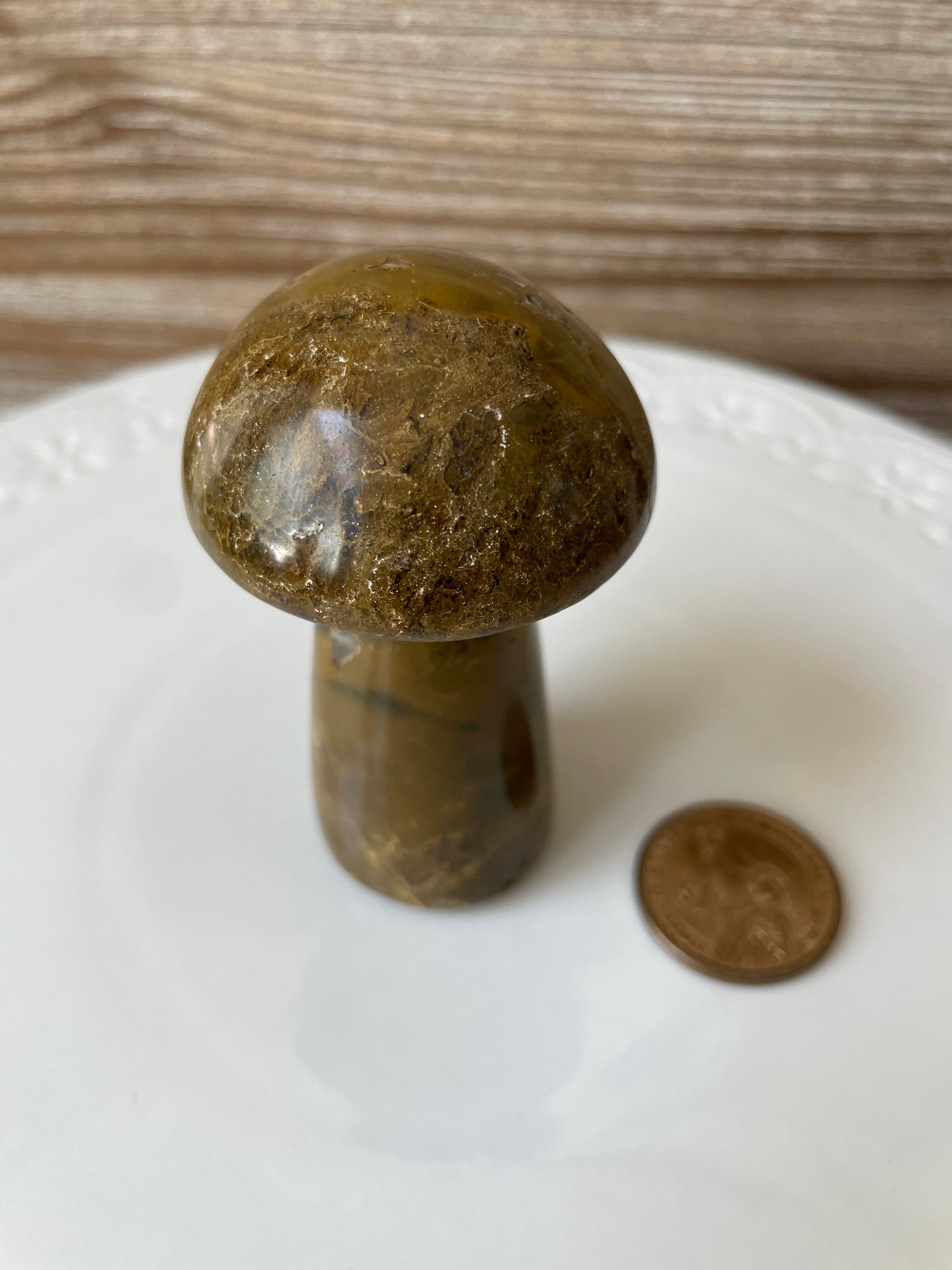 Brown Ocean Jasper | Mushroom Carving