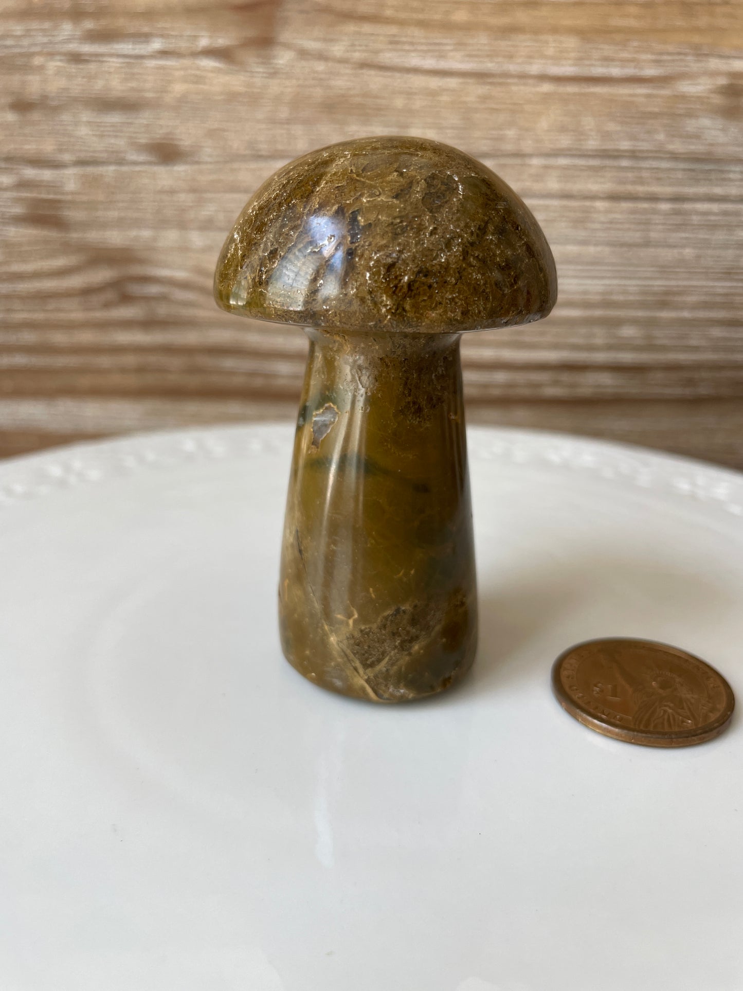 Brown Ocean Jasper | Mushroom Carving