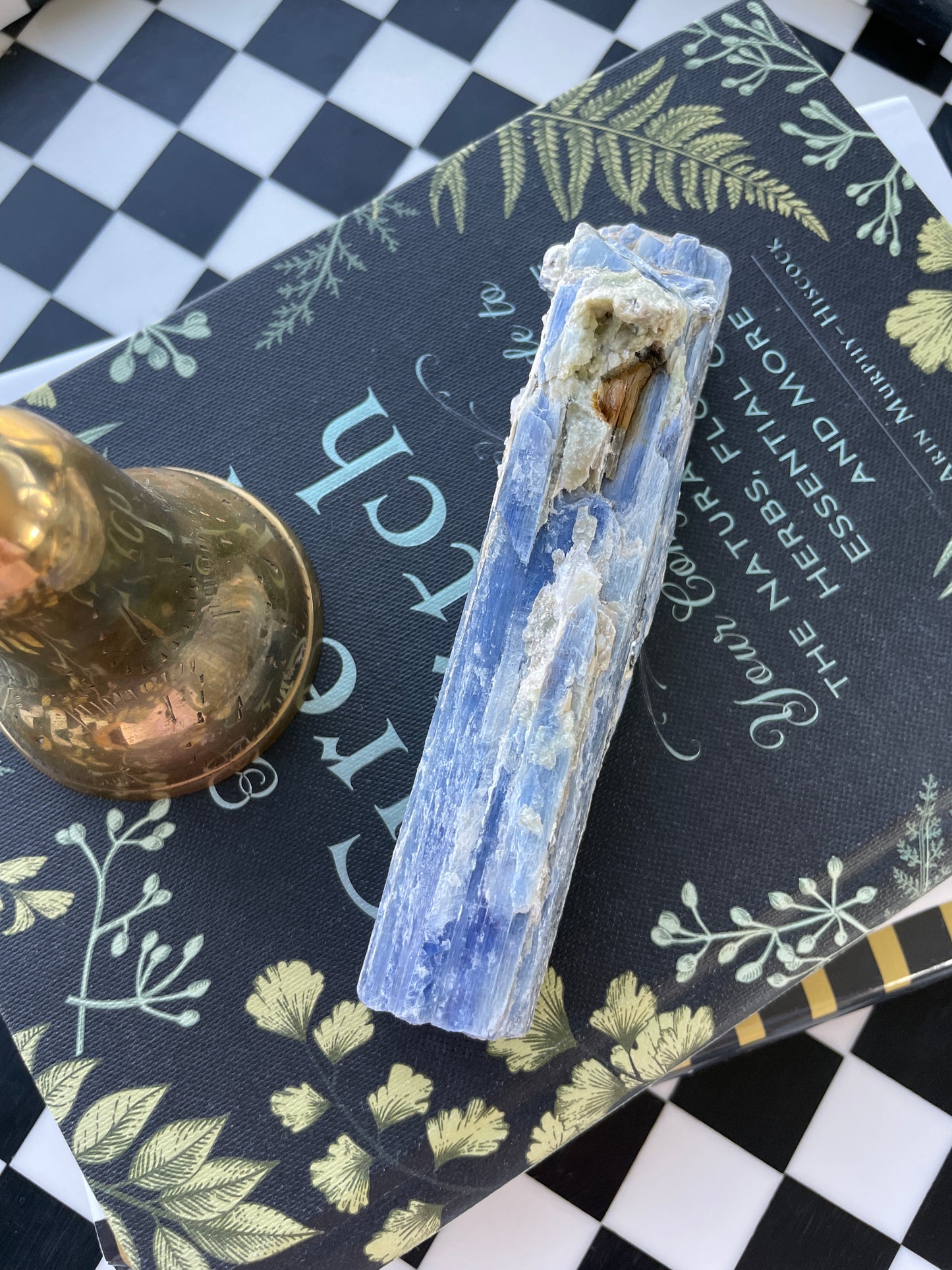 blue kyanite raw crystal specimen natural rock mineral healing stone magic crystal altar piece witchcraft gift for witch