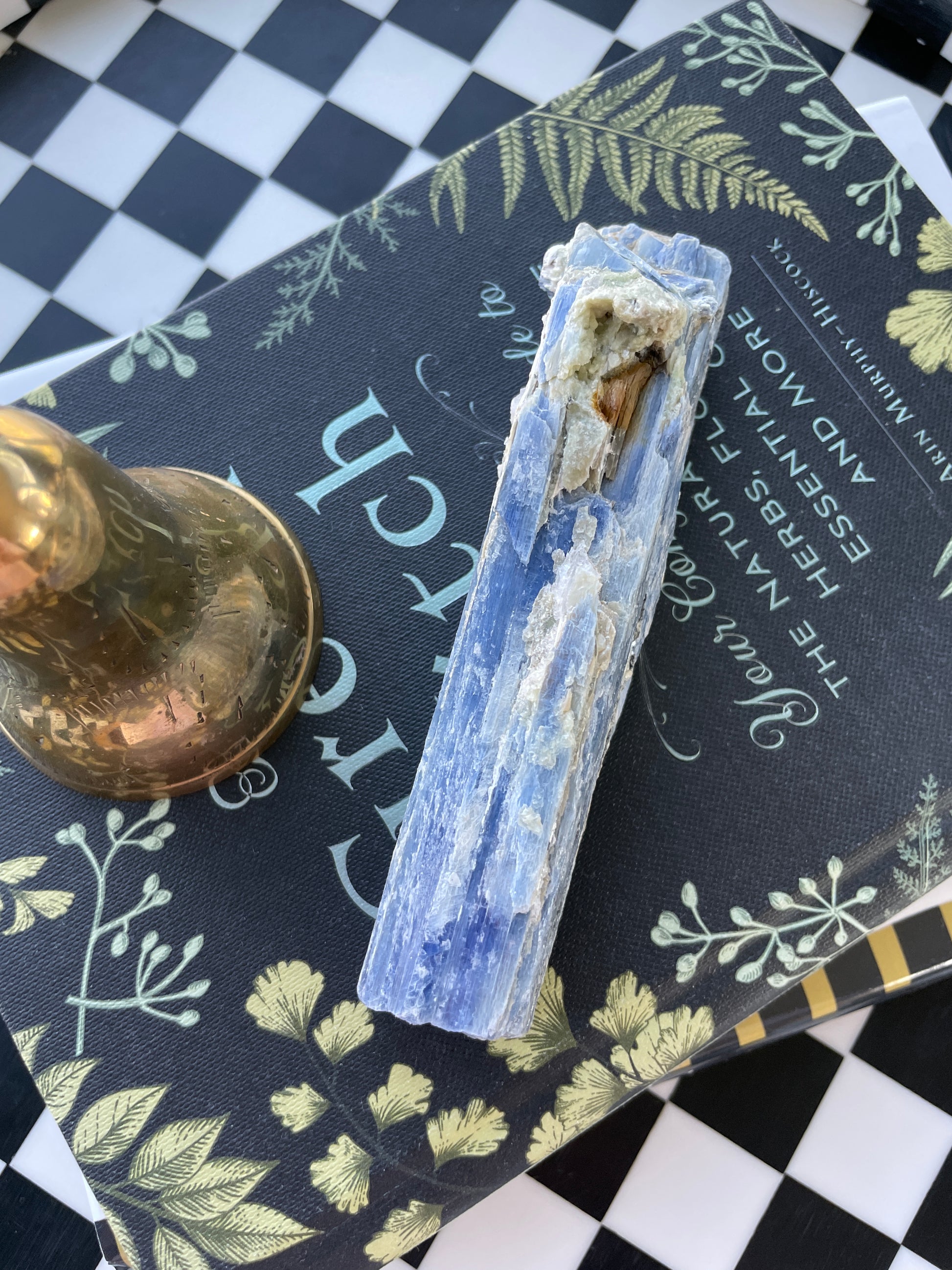 blue kyanite raw crystal specimen natural rock mineral healing stone magic crystal altar piece witchcraft gift for witch