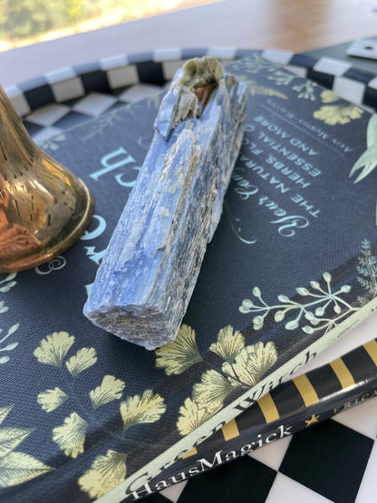 blue kyanite raw crystal specimen natural rock mineral healing stone magic crystal altar piece witchcraft gift for witch